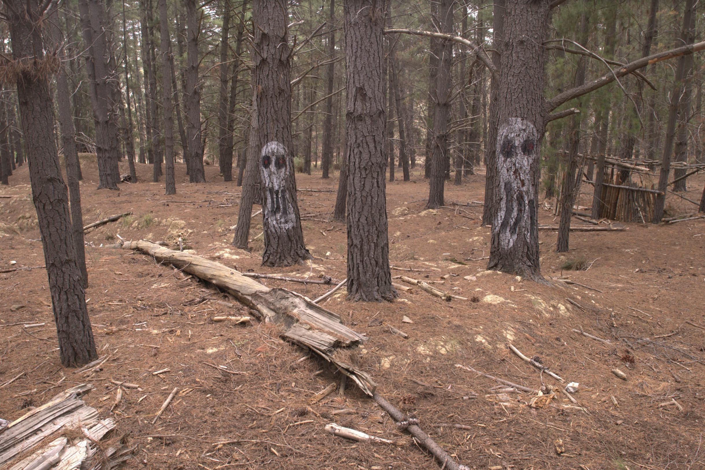 Polly Stanton, Skulls, 2018